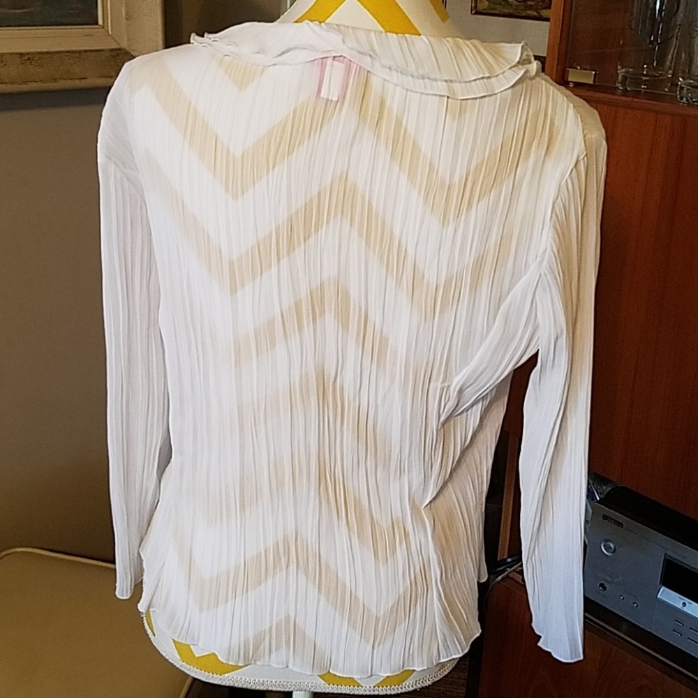 Sheer White Frilly Long Sleeve Blouse